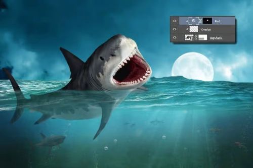 آموزش طراحی صحنه شکار کوسه در فتوشاپ